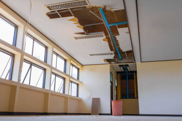 Best Fire Damage Restoration  in Proctor, VT