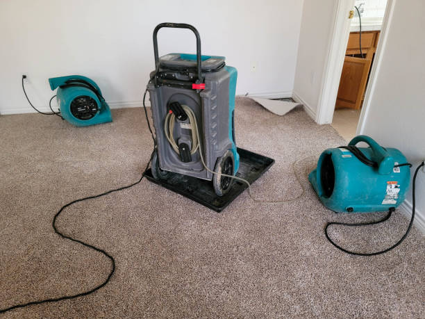 Best Local water damage restoration  in Proctor, VT