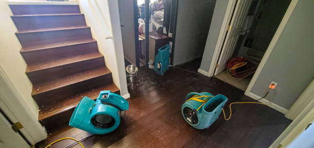 Best Flood damage cleanup  in Proctor, VT
