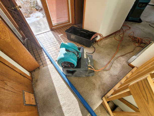 Best Water damage restoration near me  in Proctor, VT