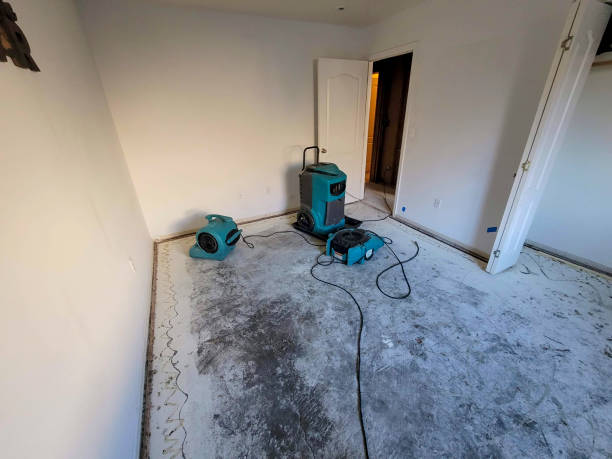 Best Water damage repair service  in Proctor, VT