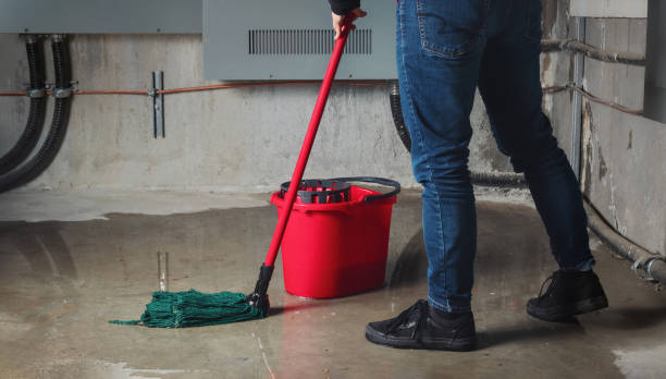 Best Basement water damage restoration  in Proctor, VT