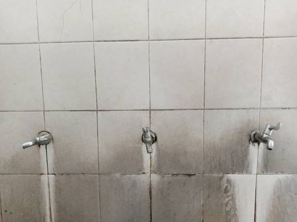 Best Water damage restoration services  in Proctor, VT