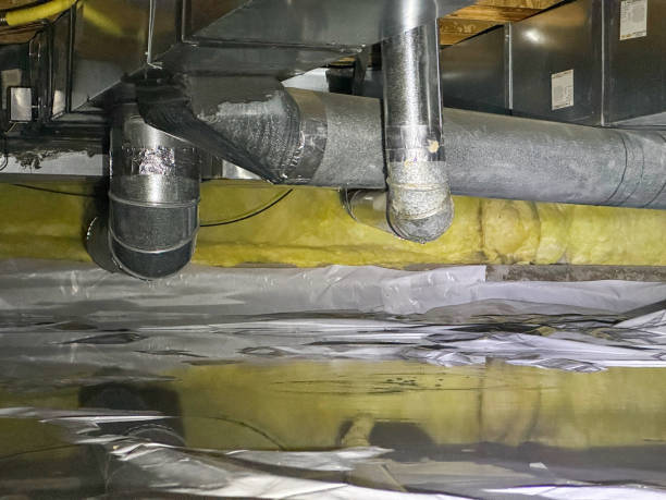 Best Water damage cleanup near me  in Proctor, VT