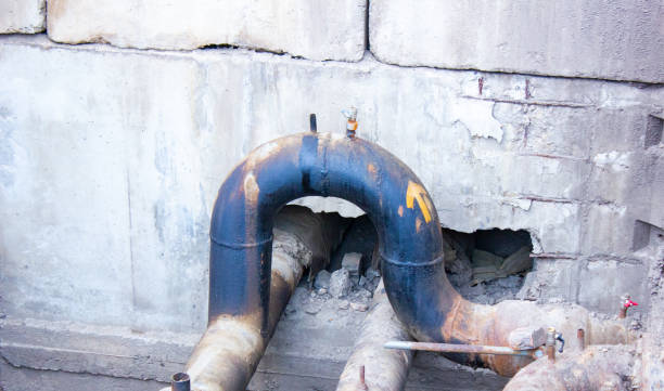 Best Water damage cleanup near me  in Proctor, VT