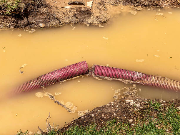Best Residential water damage restoration  in Proctor, VT